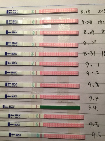 journal_insert_pic_288735878