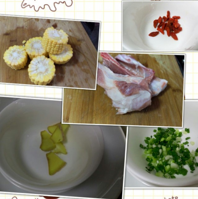 journal_insert_pic_288387508