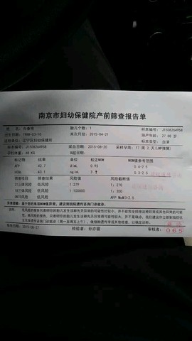 journal_insert_pic_289002797