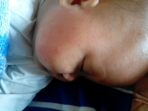 journal_insert_pic_289863411