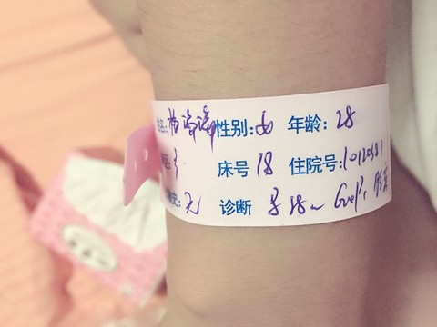 journal_insert_pic_289800826