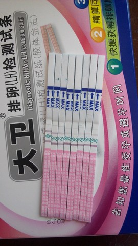 journal_insert_pic_289905102