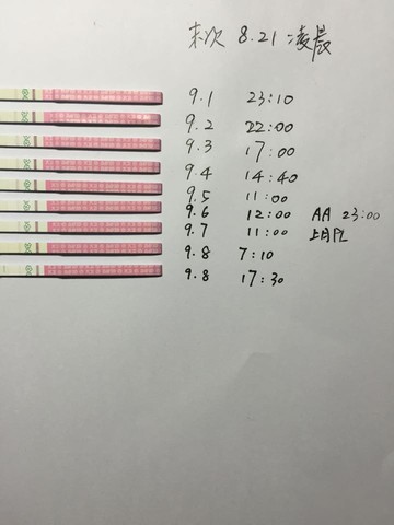 journal_insert_pic_291238057
