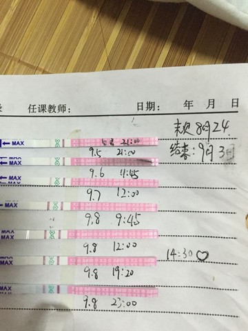 journal_insert_pic_291244765