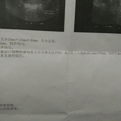 journal_insert_pic_291255081