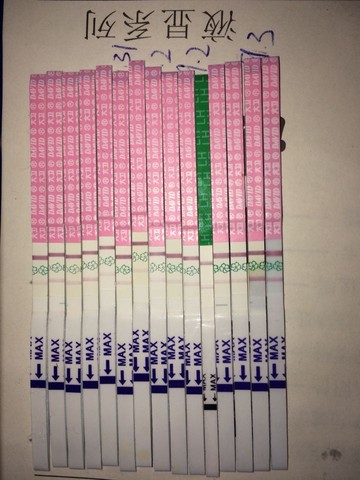 journal_insert_pic_291992204