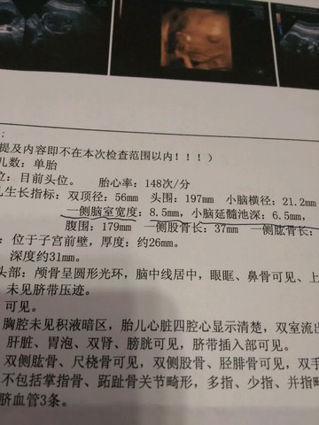 journal_insert_pic_291575834