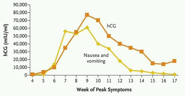 我這有個圖,說hcg變化的.,下面那個是嘔吐的曲線,希望對樓主有用