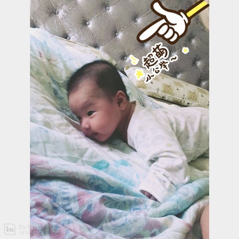 journal_insert_pic_294073959