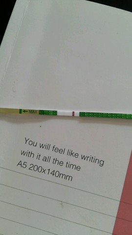 journal_insert_pic_294010447