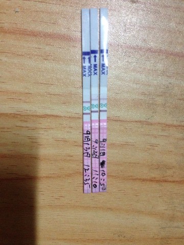 journal_insert_pic_294651712