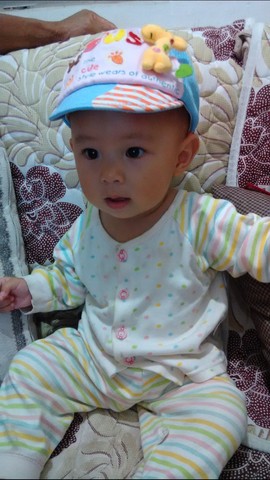 journal_insert_pic_295061167