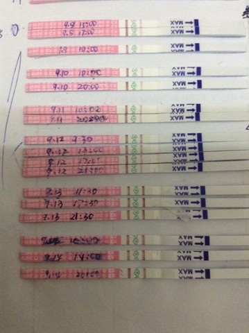 journal_insert_pic_295709646