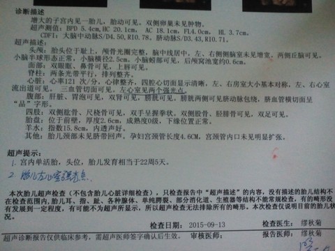 journal_insert_pic_295366651