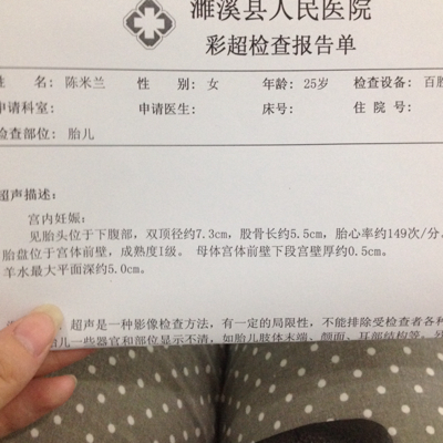 journal_insert_pic_296295361