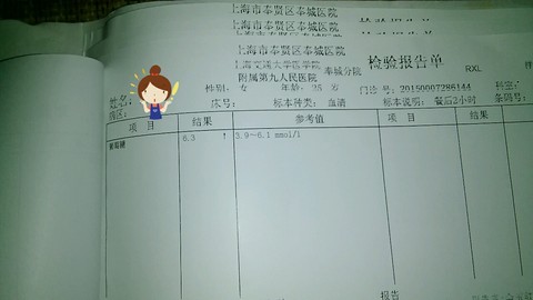 journal_insert_pic_296468200