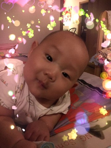 journal_insert_pic_296570578