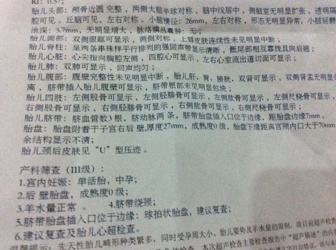 journal_insert_pic_297360016