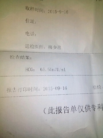 journal_insert_pic_297311759