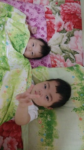 journal_insert_pic_297782607