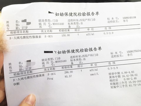 journal_insert_pic_298140029