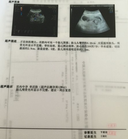 journal_insert_pic_298846546