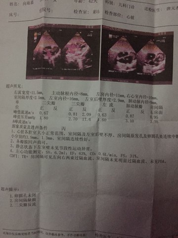journal_insert_pic_298588857