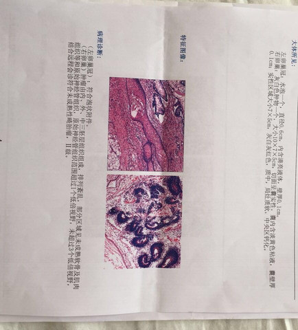 journal_insert_pic_301850769