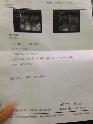 journal_insert_pic_302448902