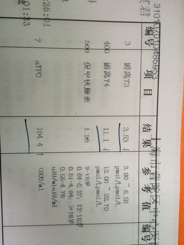 journal_insert_pic_302689401