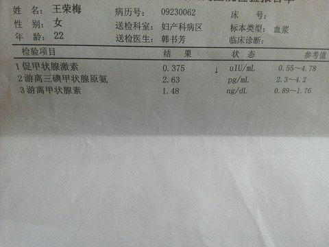 journal_insert_pic_304661148
