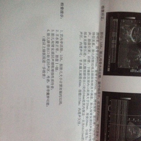 journal_insert_pic_308126343