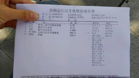 journal_insert_pic_308489870