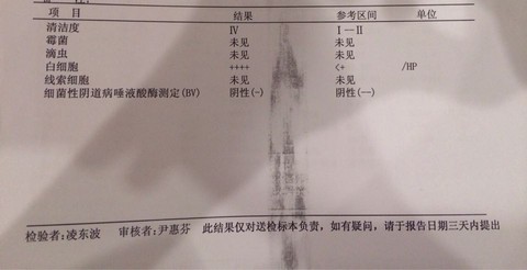 journal_insert_pic_308910280