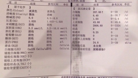 journal_insert_pic_308910296