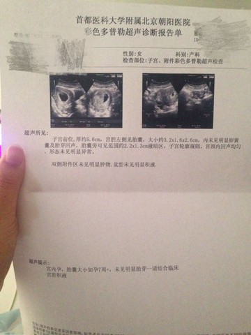 journal_insert_pic_309245524