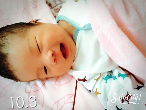 journal_insert_pic_309617601