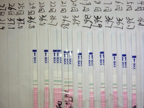 journal_insert_pic_310238273