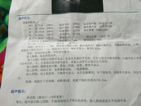 journal_insert_pic_310607311
