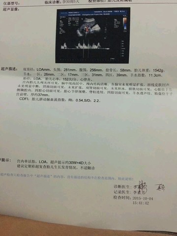 journal_insert_pic_310265898