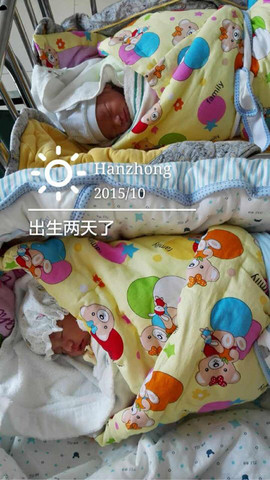 journal_insert_pic_316809443