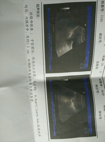 journal_insert_pic_316688603