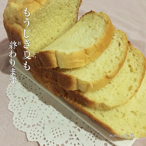 journal_insert_pic_317425153