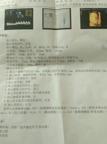 journal_insert_pic_318067821