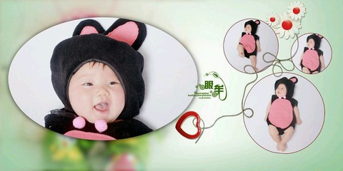 journal_insert_pic_318164075