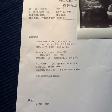 journal_insert_pic_318752062