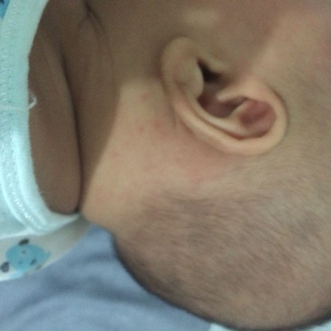 journal_insert_pic_318690422