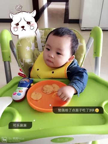 journal_insert_pic_320148517