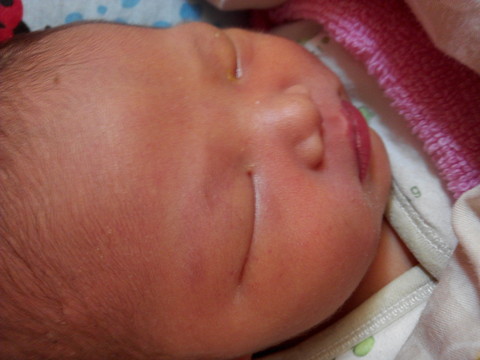 journal_insert_pic_321146888