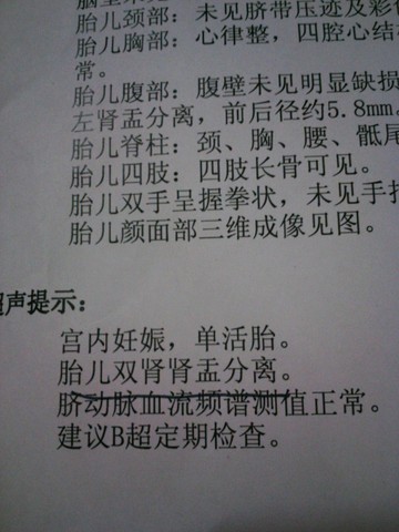 journal_insert_pic_320660466